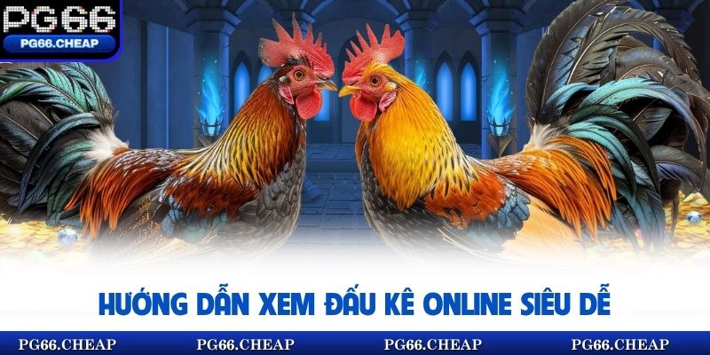 Hướng dẫn xem đấu kê online siêu dễ